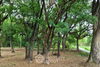 listing thumbnail image 7