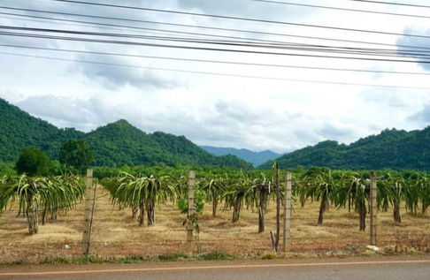 ขายที่เขาวง เขาใหญ่ ปากช่อง หนองน้ำแดง 20 ไร่ วิวเขาสวยชัดมาก ใกล้ภูเขา ถนนธนะรัชต์ ศูนย์ผู้นำCP มอเตอร์เวย์ ถนนมิตรภาพ ที่สูงบรรยากาศดี 0879074045