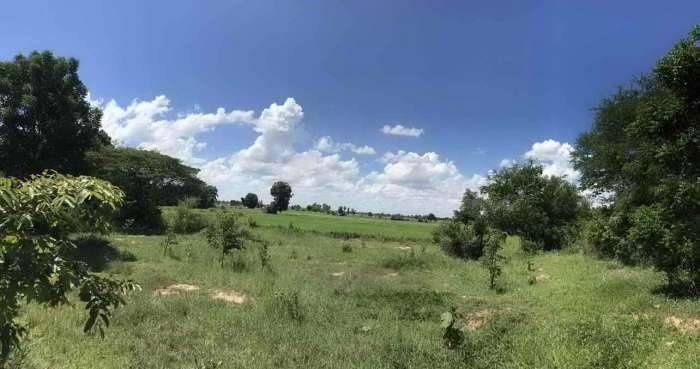 picture Large plot of land for sale, Khon Kaen Province. - 2/4