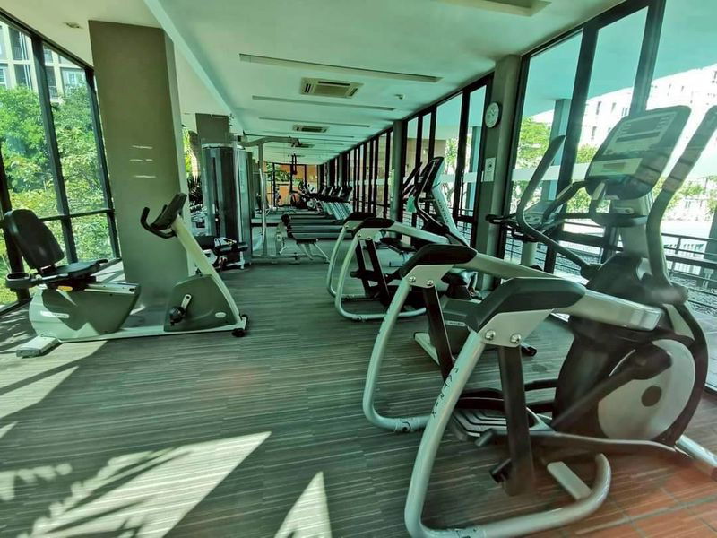 picture For Rent – Dcondo Sign Chiang Mai | Pool View | 30 sqm | 11,000 THB/month 🏊‍♀️💎 - 10/11