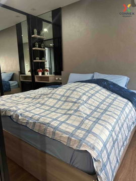 @Condorental condo for rent Tree Condo Sukhumvit 50