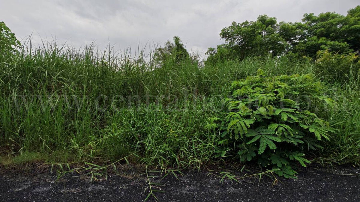 รูป ที่ดินเปล่า ถมแล้ว 1 ไร่ คลอง 13 ธัญบุรี - ปทุมธานี  - รูปที่ 7/7