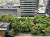 listing thumbnail image 7
