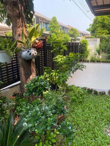รูป H-105 : บ้าน 60 ตร.วา ไลฟ์ บางกอก บูเลอวาร์ด รามอินทรา บ้านใหม่มือ 1 ไม่เคยเข้าอยู่ - รูปที่ 14/30
