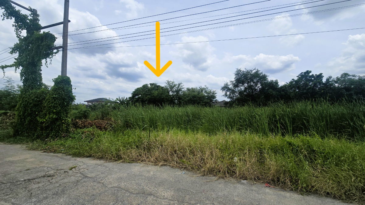 picture Below Market Price! Vacant Land Near Future Park Rangsit – 200 Sq. Wah Perfect for Building a Home, Residence, or Small Business Venture - 7/9