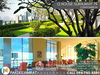 listing thumbnail image 12
