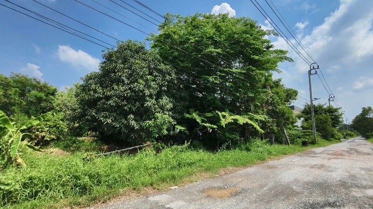 รูป ขายที่ดินเปล่าซอยสินเกษตร ถ.บางกรวย-ไทรน้อย - รูปที่ 6/6