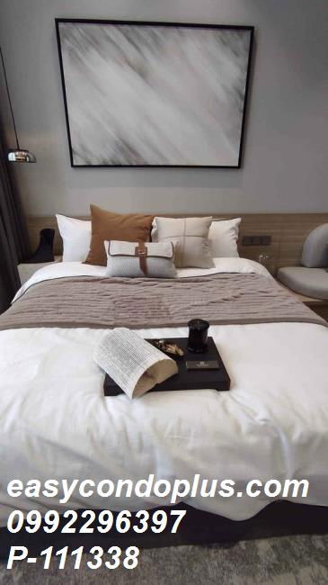 picture  P-111338 Condo for sell 28 chidlom fully furnished. - 4/10