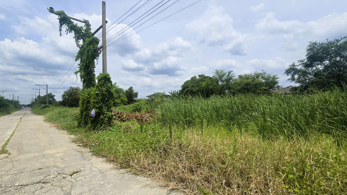 picture Below Market Price! Vacant Land Near Future Park Rangsit – 200 Sq. Wah Perfect for Building a Home, Residence, or Small Business Venture - 3/9