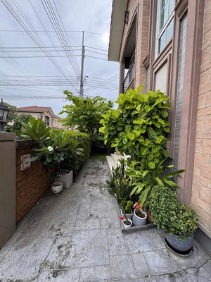 picture FOR RENT GOLDEN NEO BANGKAE / 4 bedrooms 3 bathrooms / 43 Sqw. 150 Sqm. **48,000** CORNER HOUSE CLOSE TO THE MALL BANGKAE - 14/14