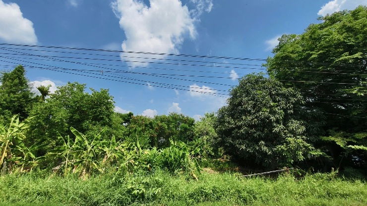 รูป ขายที่ดินเปล่าซอยสินเกษตร ถ.บางกรวย-ไทรน้อย - รูปที่ 4/6