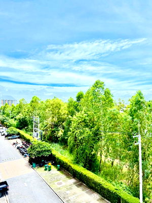คอนโดให้เช่า : ให้เช่าคอนโด Venetian Signature Condo Pattaya วิวสระว่ายน้ำ–(PR:aem)
