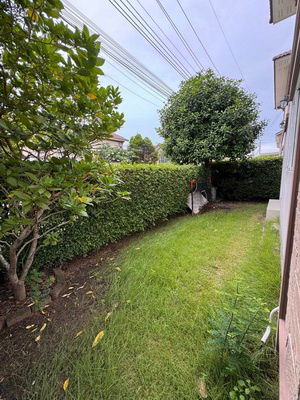 picture FOR RENT GOLDEN NEO BANGKAE / 4 bedrooms 3 bathrooms / 43 Sqw. 150 Sqm. **48,000** CORNER HOUSE CLOSE TO THE MALL BANGKAE - 13/14