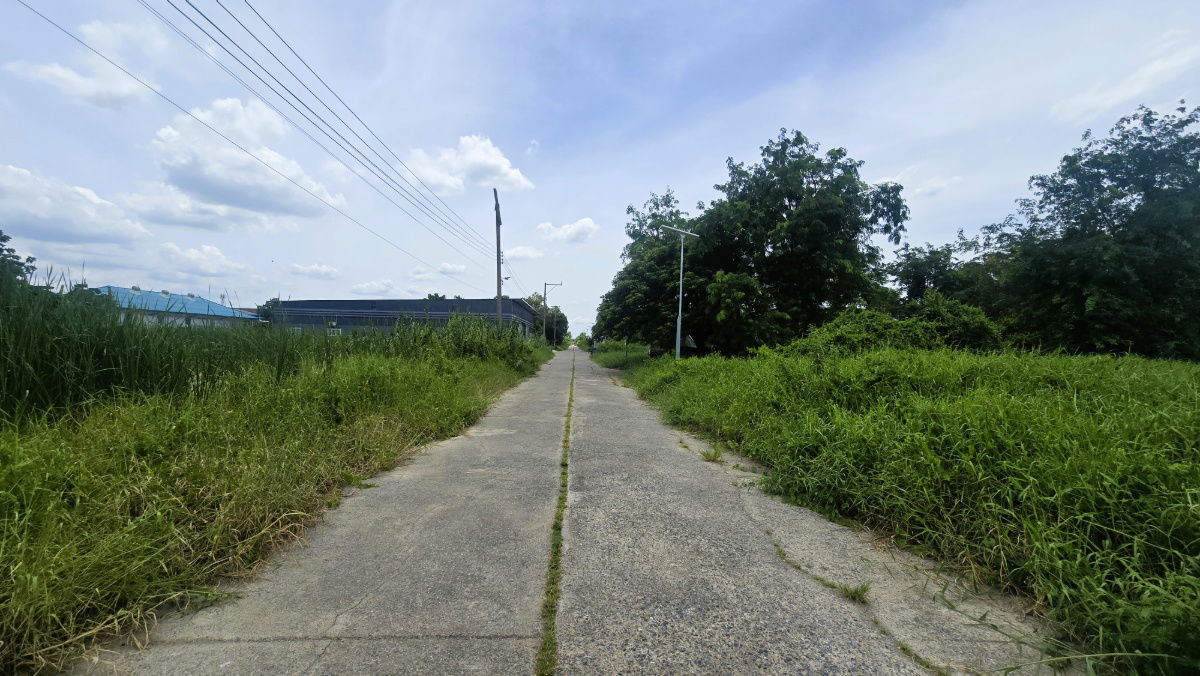 picture Below Market Price! Vacant Land Near Future Park Rangsit – 200 Sq. Wah Perfect for Building a Home, Residence, or Small Business Venture - 6/9
