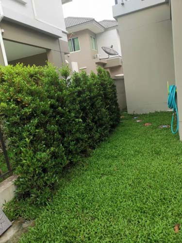 รูป H-105 : บ้าน 60 ตร.วา ไลฟ์ บางกอก บูเลอวาร์ด รามอินทรา บ้านใหม่มือ 1 ไม่เคยเข้าอยู่ - รูปที่ 18/30