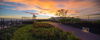 listing thumbnail image 24