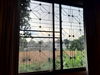 listing thumbnail image 21