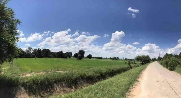 picture Large plot of land for sale, Khon Kaen Province. - 4/4