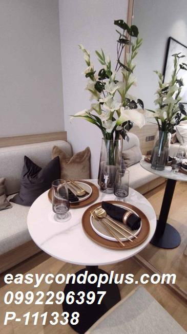 picture  P-111338 Condo for sell 28 chidlom fully furnished. - 2/10