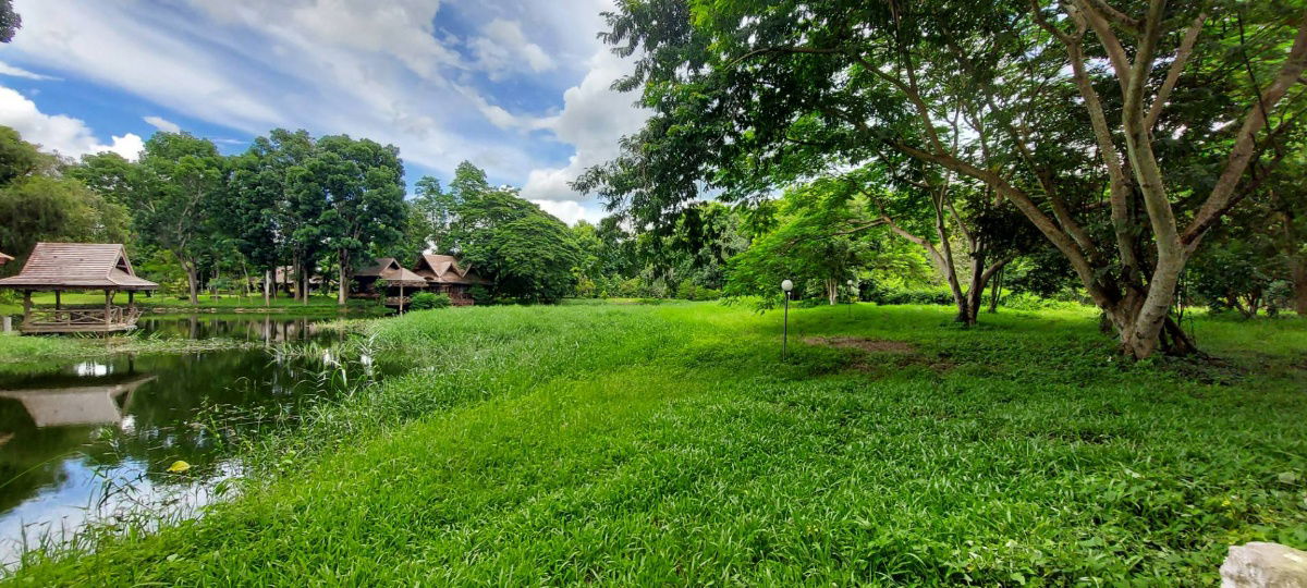 รูป ขายที่ดิน หมู่บ้านริมน้ำวิวดอย บ้านหนองบัว อ.แม่แตง เชียงใหม่ เนื้อที่ 1 ไร่เศษ  *แปลงมุม   ใกล้วัดทุ่งหลวงและ ภูตะวันพันดาว มีต้นไม้ร่มรื่น และบึงน้ำ  - รูปที่ 2/16