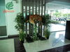 listing thumbnail image 30