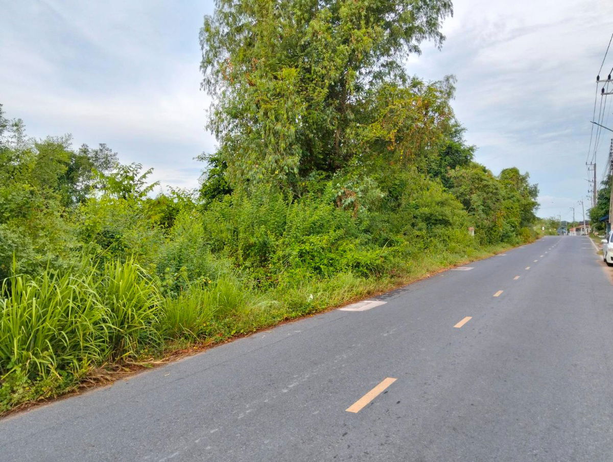 รูป ที่ดิน 2 ไร่ 3 งาน ตะเคียนเตี้ย หลังตลาดทนายโส - รูปที่ 2/5