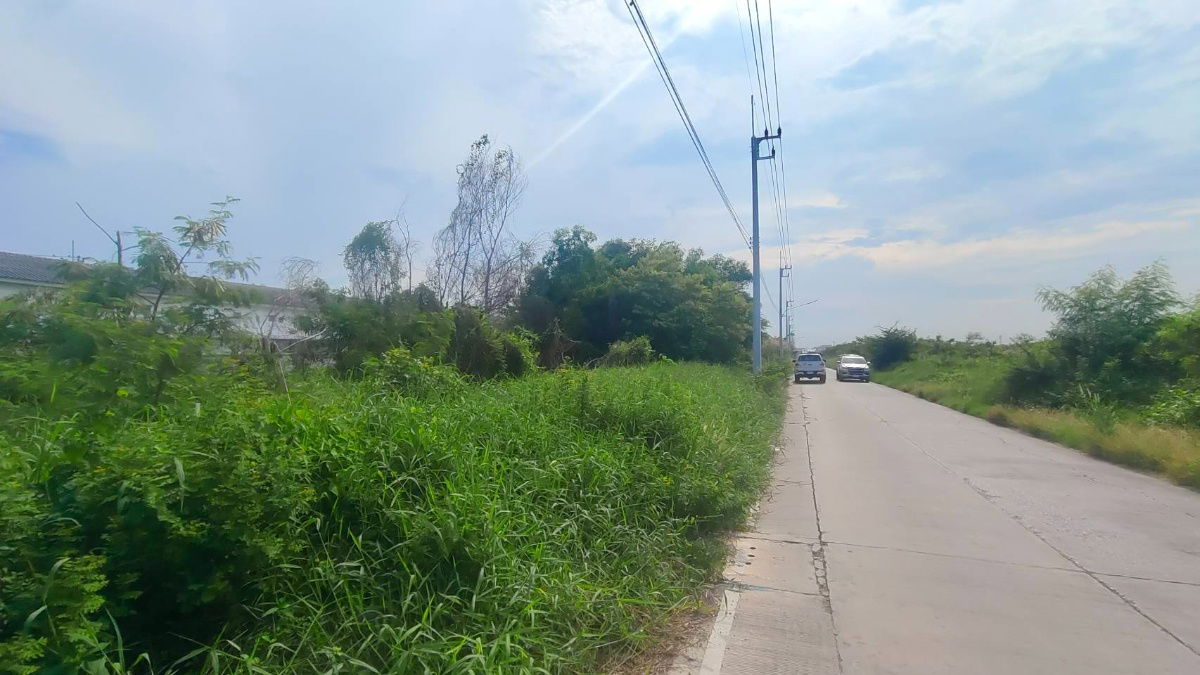 รูป ที่ดินแปลงสวย 3 ไร่ ทำเลดี ตรงข้ามวัดเกิดการอุดม คลองสาม 5/2 ปทุมธานี - รูปที่ 3/5