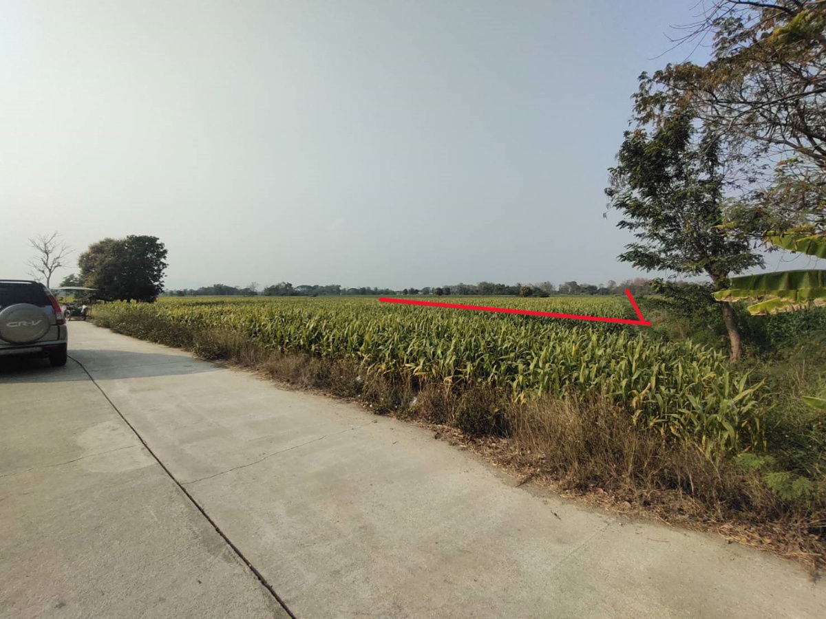 รูป ขายที่นา 6 ไร่สี่เหลี่ยมจัตตุรัส 880,000 บาท ยกแปลง - รูปที่ 4/5