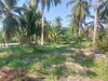 listing thumbnail image 4