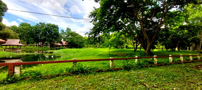 ที่ดิน แม่แตง เชียงใหม่ : ขายที่ดิน หมู่บ้านริมน้ำวิวดอย บ้านหนองบัว อ.แม่แตง เชียงใหม่ เนื้อที่ 1 ไร่เศษ  *แปลงมุม   ใกล้วัดทุ่งหลวงและ ภูตะวันพันดาว มีต้นไม้ร่มรื่น และบึงน้ำ 