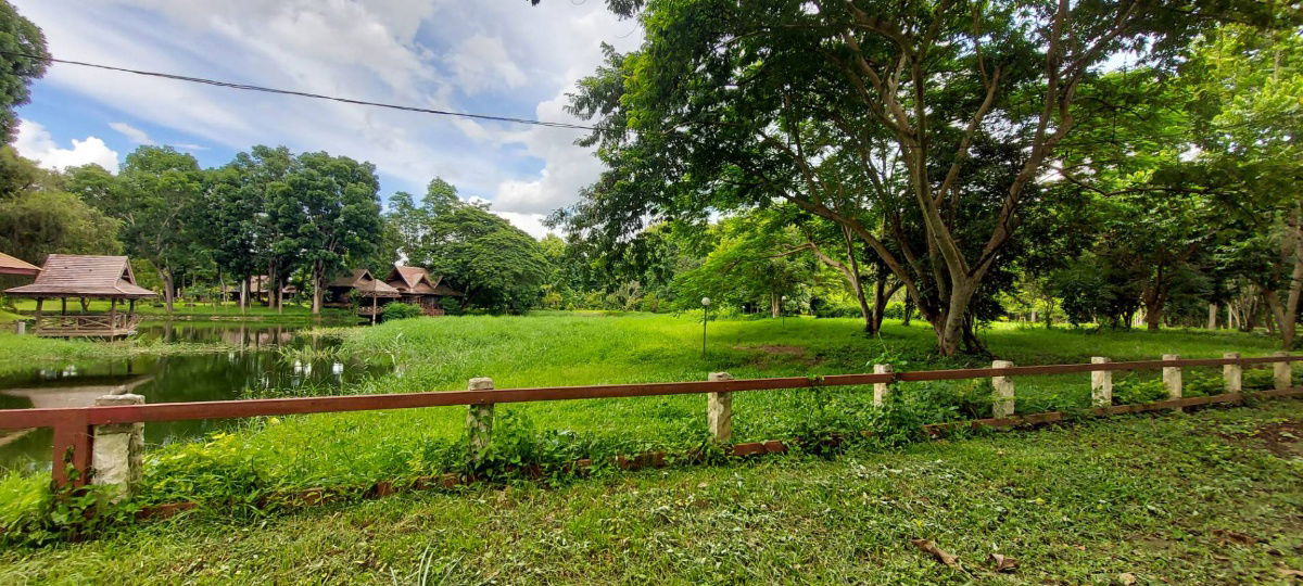 รูป ขายที่ดิน หมู่บ้านริมน้ำวิวดอย บ้านหนองบัว อ.แม่แตง เชียงใหม่ เนื้อที่ 1 ไร่เศษ  *แปลงมุม   ใกล้วัดทุ่งหลวงและ ภูตะวันพันดาว มีต้นไม้ร่มรื่น และบึงน้ำ  - รูปที่ 1/16