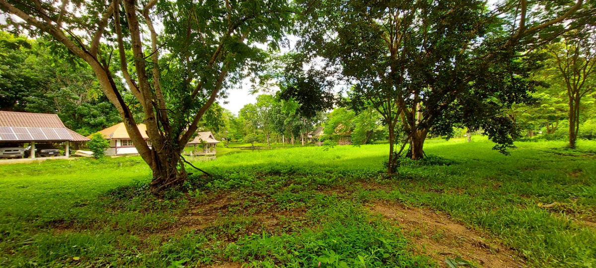 รูป ขายที่ดิน หมู่บ้านริมน้ำวิวดอย บ้านหนองบัว อ.แม่แตง เชียงใหม่ เนื้อที่ 1 ไร่เศษ  *แปลงมุม   ใกล้วัดทุ่งหลวงและ ภูตะวันพันดาว มีต้นไม้ร่มรื่น และบึงน้ำ  - รูปที่ 4/16