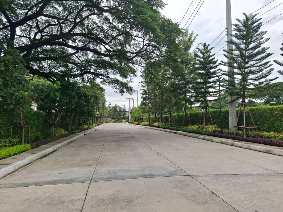 รูป บ้านแฝด ทำเลคอนโด ใกล้เซ็นทรัลเฟสติวัล เชียงใหม่ - รูปที่ 8/9