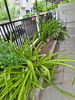 listing thumbnail image 6
