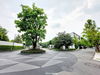 listing thumbnail image 20