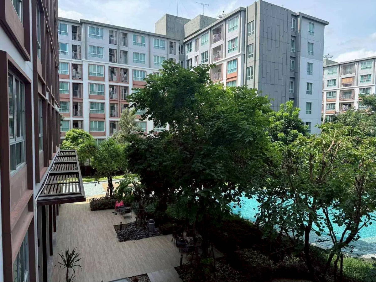 รูป  D condo  ping ห้องสวย  ว่างพร้อมอยู่ 20/8/68 - รูปที่ 10/20