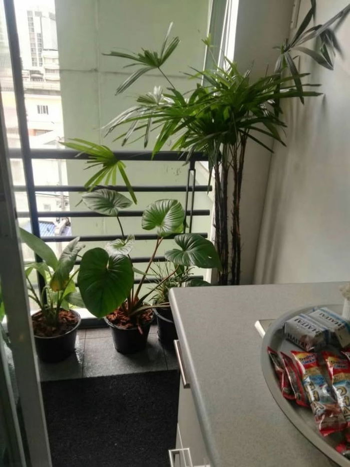 picture [RENT] E53601  ( Lumpini Suite Sukhumvit 41 )      (ID with @in front, LINE ID:  @056qhbtt) - 6/17