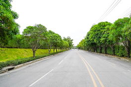 รูป The Plant Citi Bangna - Wongwaen - รูปที่ 2/13