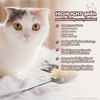 listing thumbnail image 29