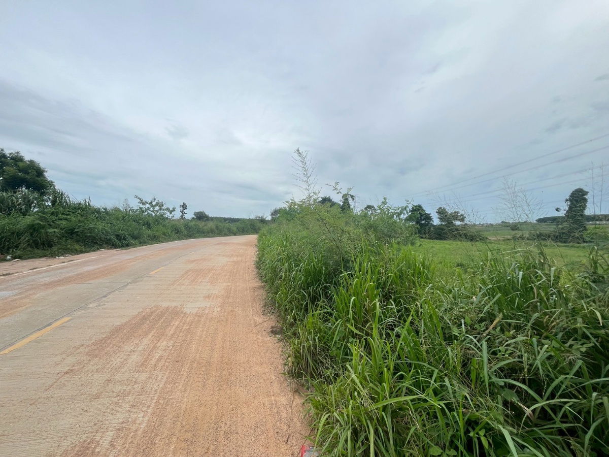 รูป ขายที่ดิน ผังสี ม่วงลาย ปลวกแดง ระยอง - รูปที่ 2/8