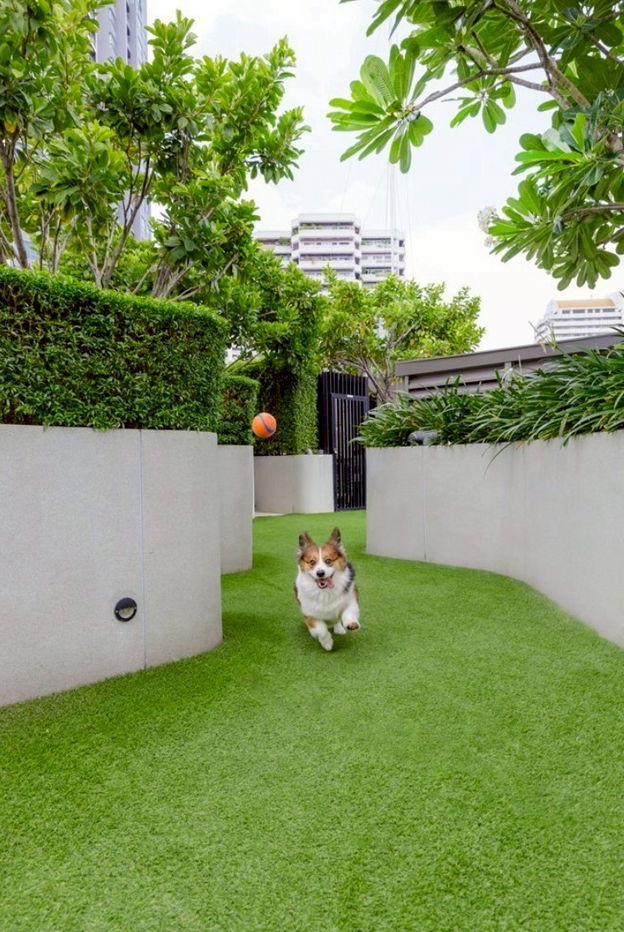 picture For Rent: Ashton Residence 41 – 5th Floor - 25/29