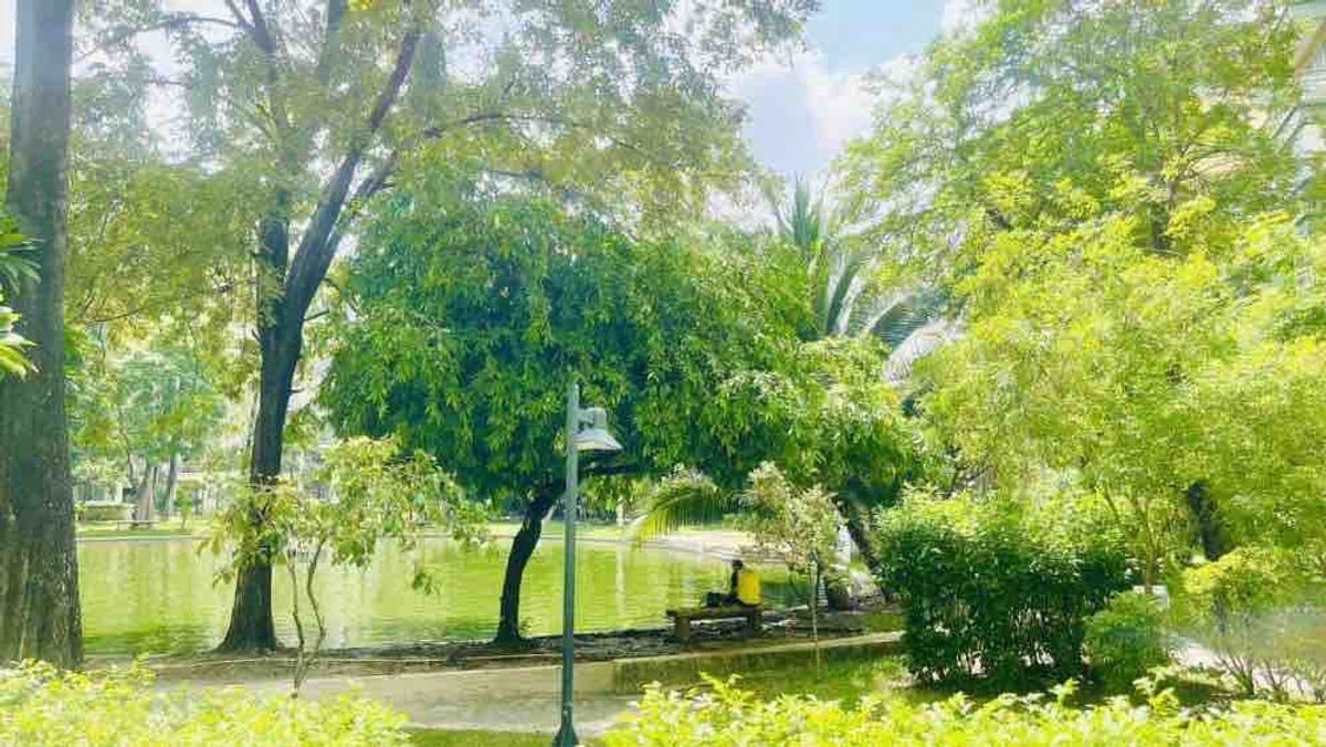 picture WS2102 🌿 The Parkland Bangna Modern Minimal 🌿 near BTS Udomsuk, only 8,000 baht/month - 13/19