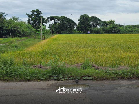 รูป ที่ดินในถนนสหพร ใกล้มหาวิทยาลัยราชภัฏสวนสุนันทา นครปฐม เนื้อที่ 399 ตารางวา - รูปที่ 11/14