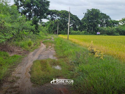 รูป ที่ดินในถนนสหพร ใกล้มหาวิทยาลัยราชภัฏสวนสุนันทา นครปฐม เนื้อที่ 399 ตารางวา - รูปที่ 13/14