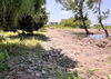 listing thumbnail image 20
