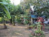 listing thumbnail image 10