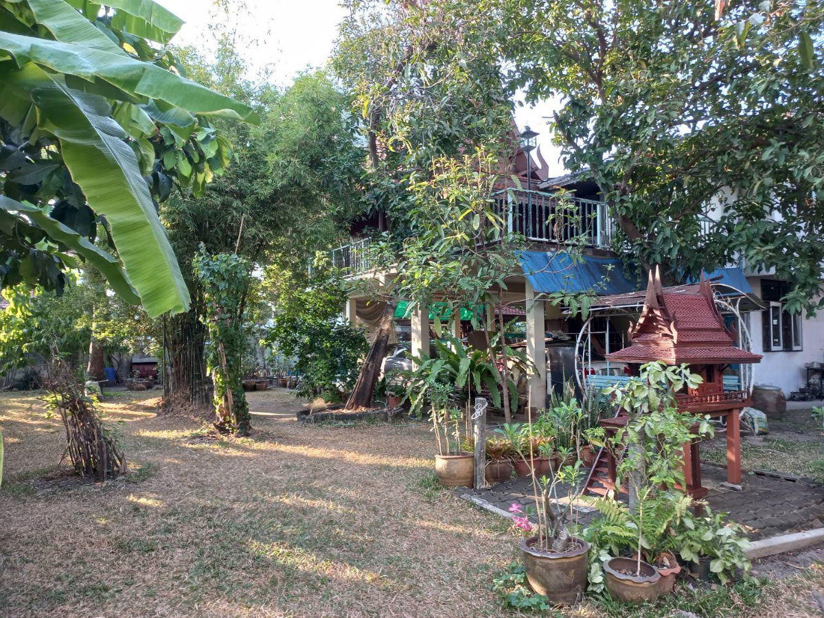 รูป ที่ดินหน้ากว้าง ทำเลสวย หนึ่งในทำเลทองหายาก ซอย ลาดพร้าว 35 พื้นที่ 213 ตรว. (เจ้าของขายเอง ที่ดินไม่ติดจำนอง ) - รูปที่ 11/12