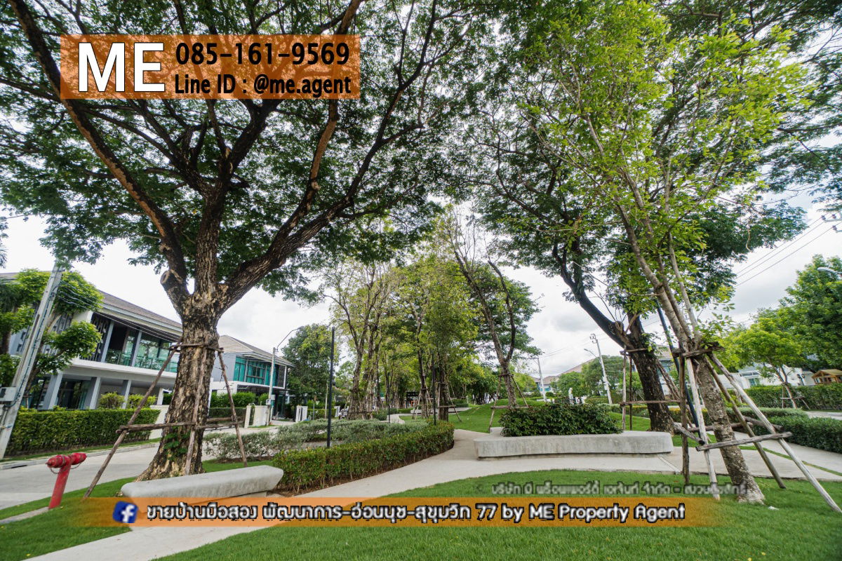รูป ให้เช่า บ้านเดี่ยว หมู่บ้านเศรษฐสิริ พัฒนาการ 87 หลังมุม บ้านใหม่ พร้อมสวนส่วนตัว  โทร  085-1619569 (RBK12-62) - รูปที่ 7/32