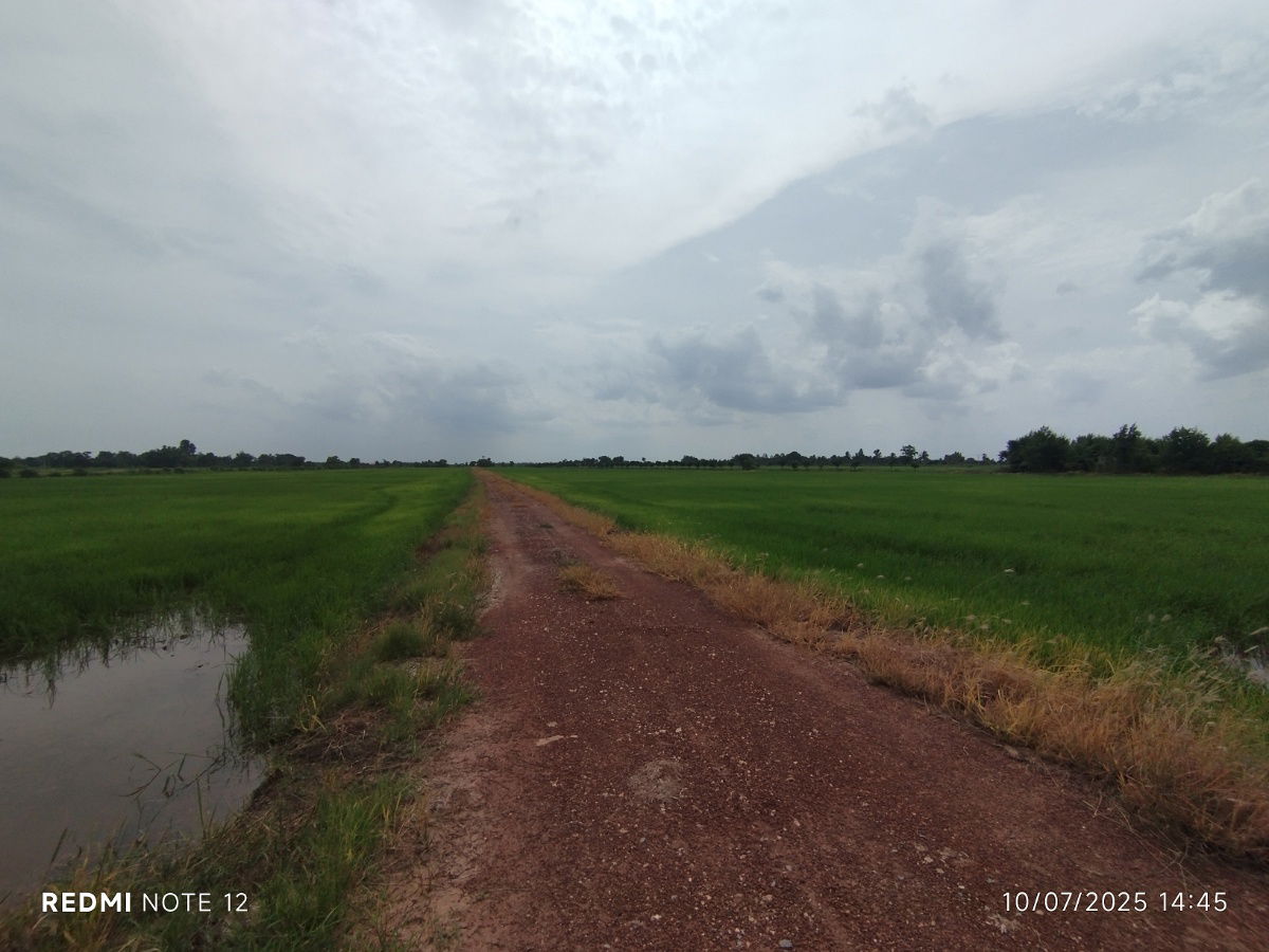 picture 🌿Premium49Rai Land for Sale Next to Irrigation Canal, KhlongKhuean, Chachoengsao.Perfect for FarmCafé, Homestay, 360FieldView, AgroBistro, Warehouse - 2/5