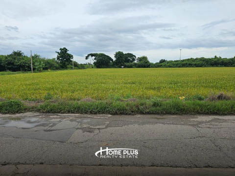 รูป ที่ดินในถนนสหพร ใกล้มหาวิทยาลัยราชภัฏสวนสุนันทา นครปฐม เนื้อที่ 399 ตารางวา - รูปที่ 5/14